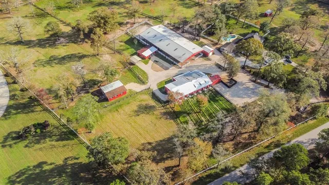 a view of flowers in a lot of flowers
