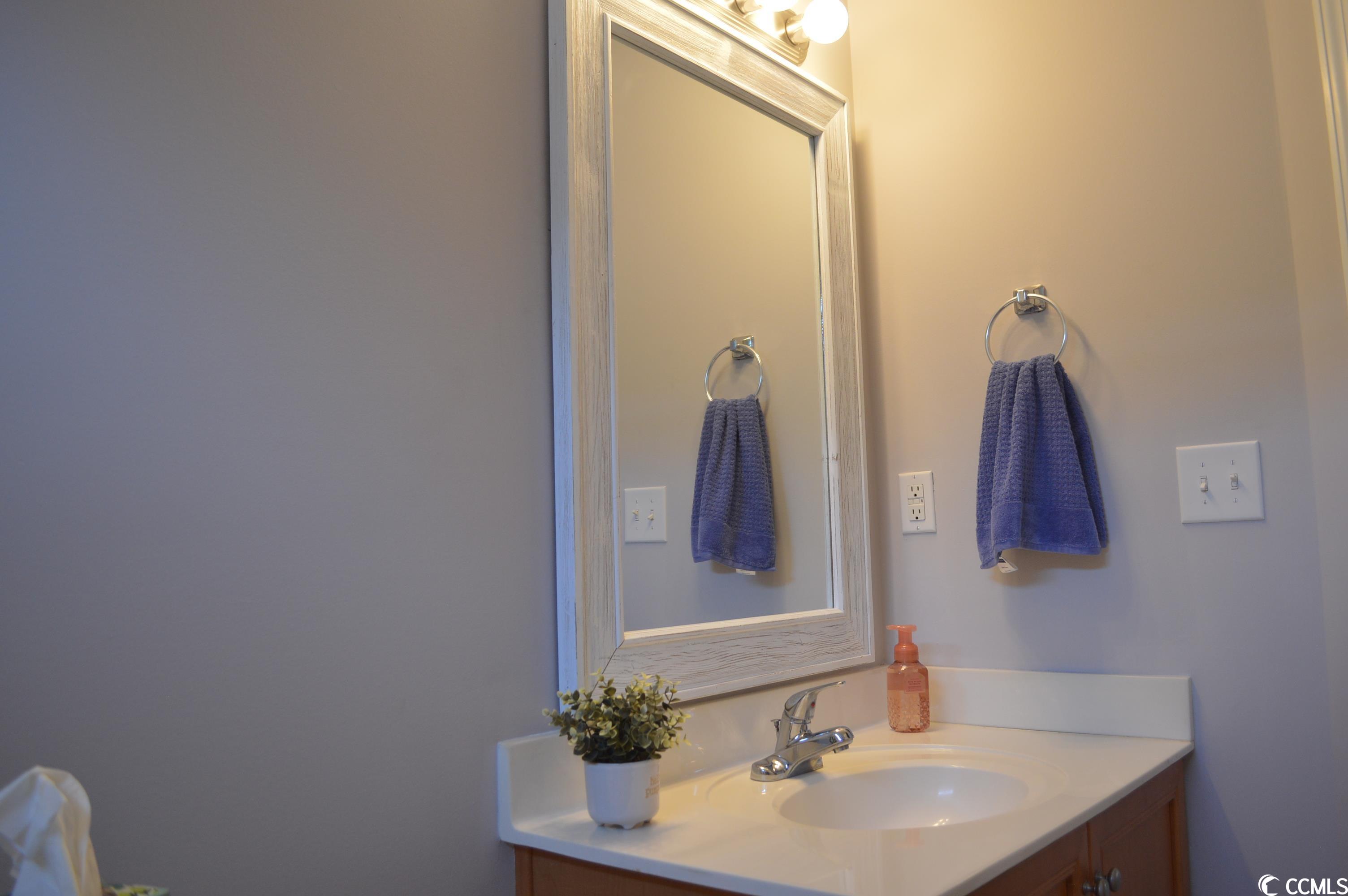 349 St Patties Loop Murrells Inlet, SC 29576 - Photo 24 of 31 Gallery Image 24