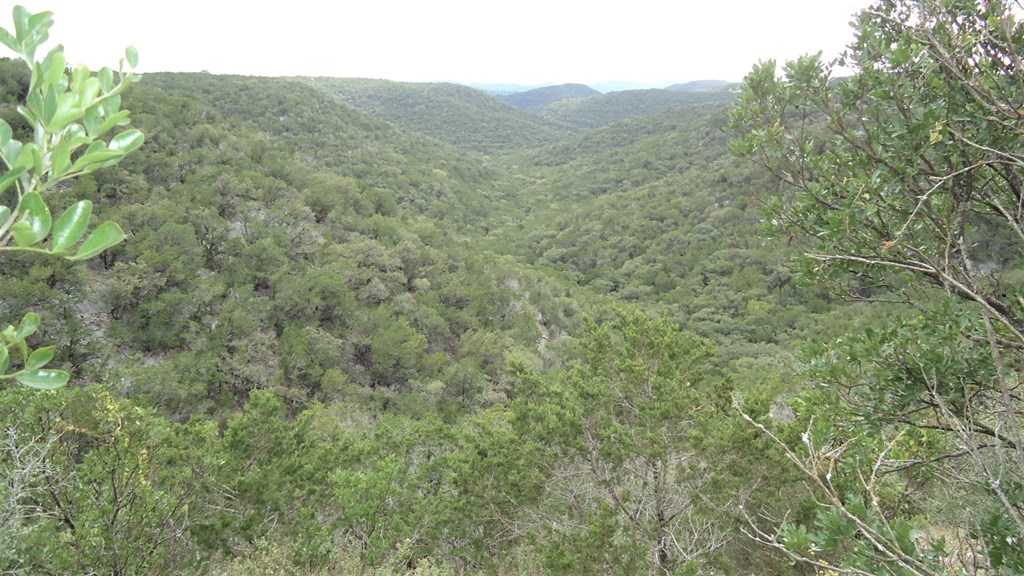 229 Pinon Loop East Camp Wood, TX 78833 - Photo 12 of 24