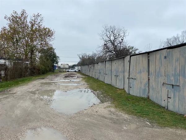 a view of backyard and tree