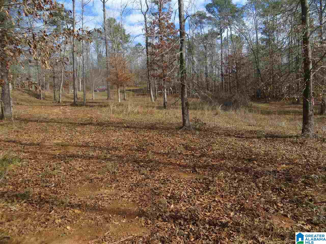 Lot 12 Eagle Mountain Road, Unit 12 Alexander City, AL 35010 - Photo 5 of 7