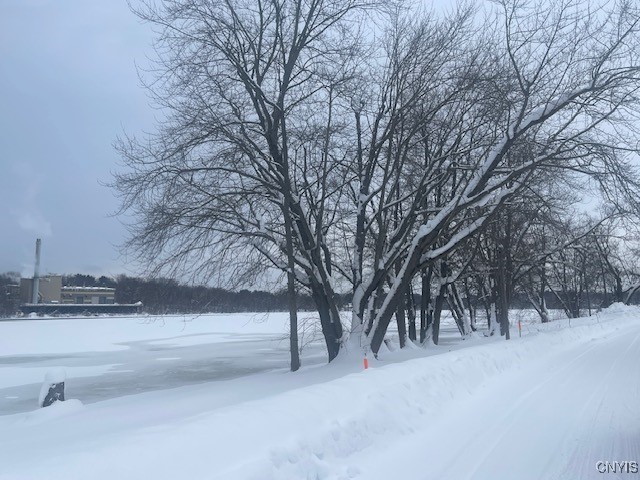 1922 State Street, Unit 16 Fulton, NY 13069 - Photo 3 of 32