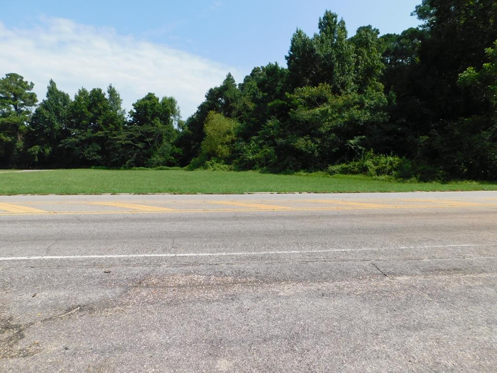 0 Deese Road Ozark, AL 36360 - Photo 1 of 4
