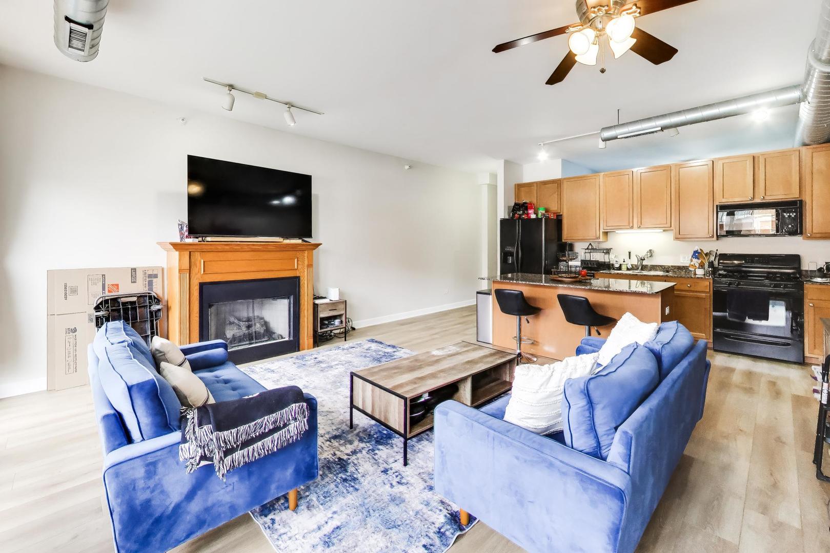 1200 West Monroe Street, Unit 315 Chicago, IL 60607 - Photo 3 of 16