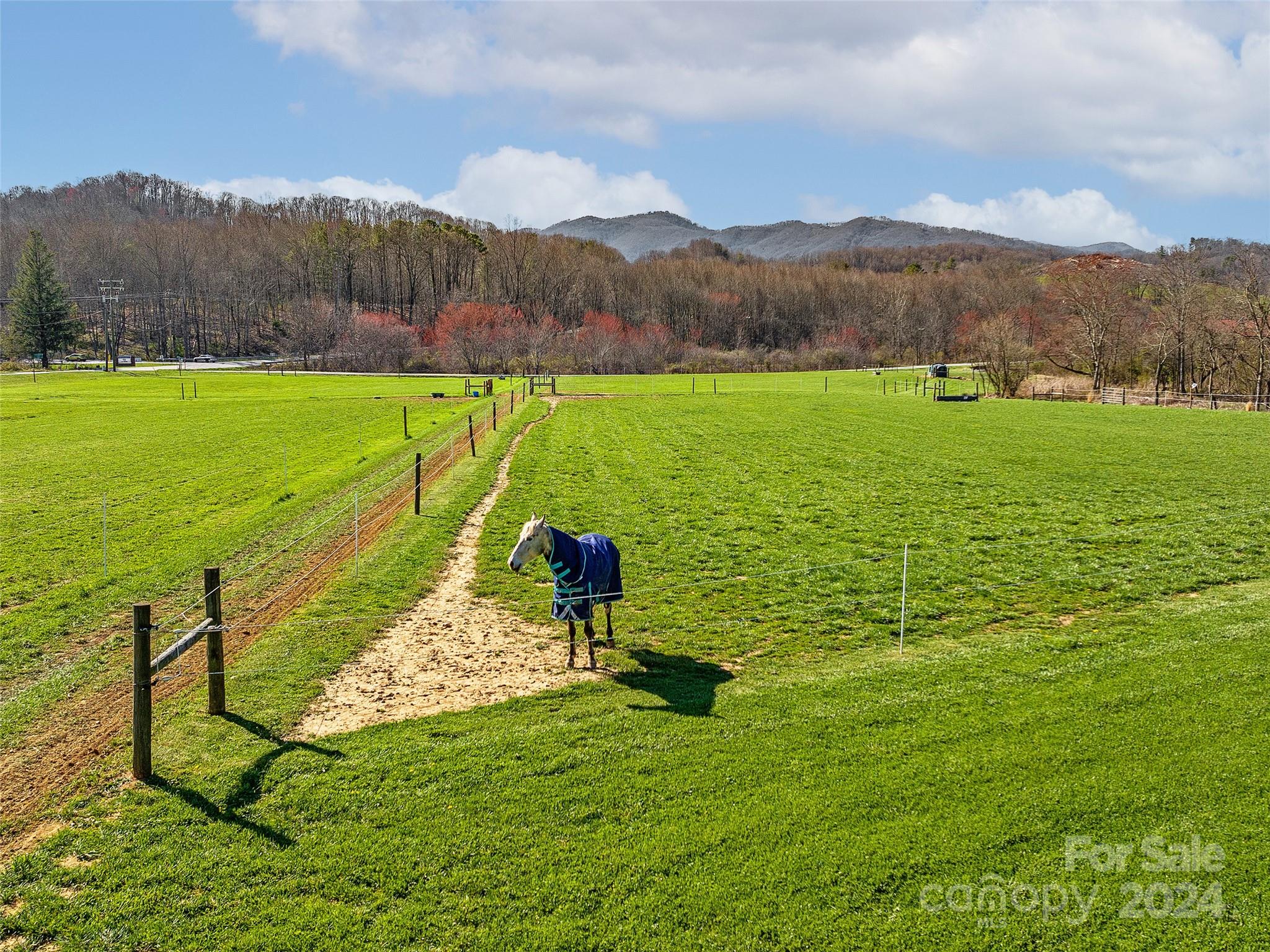 1905 Pigeon Road Waynesville, NC 28786 - Photo 40 of 45 Gallery Image 40