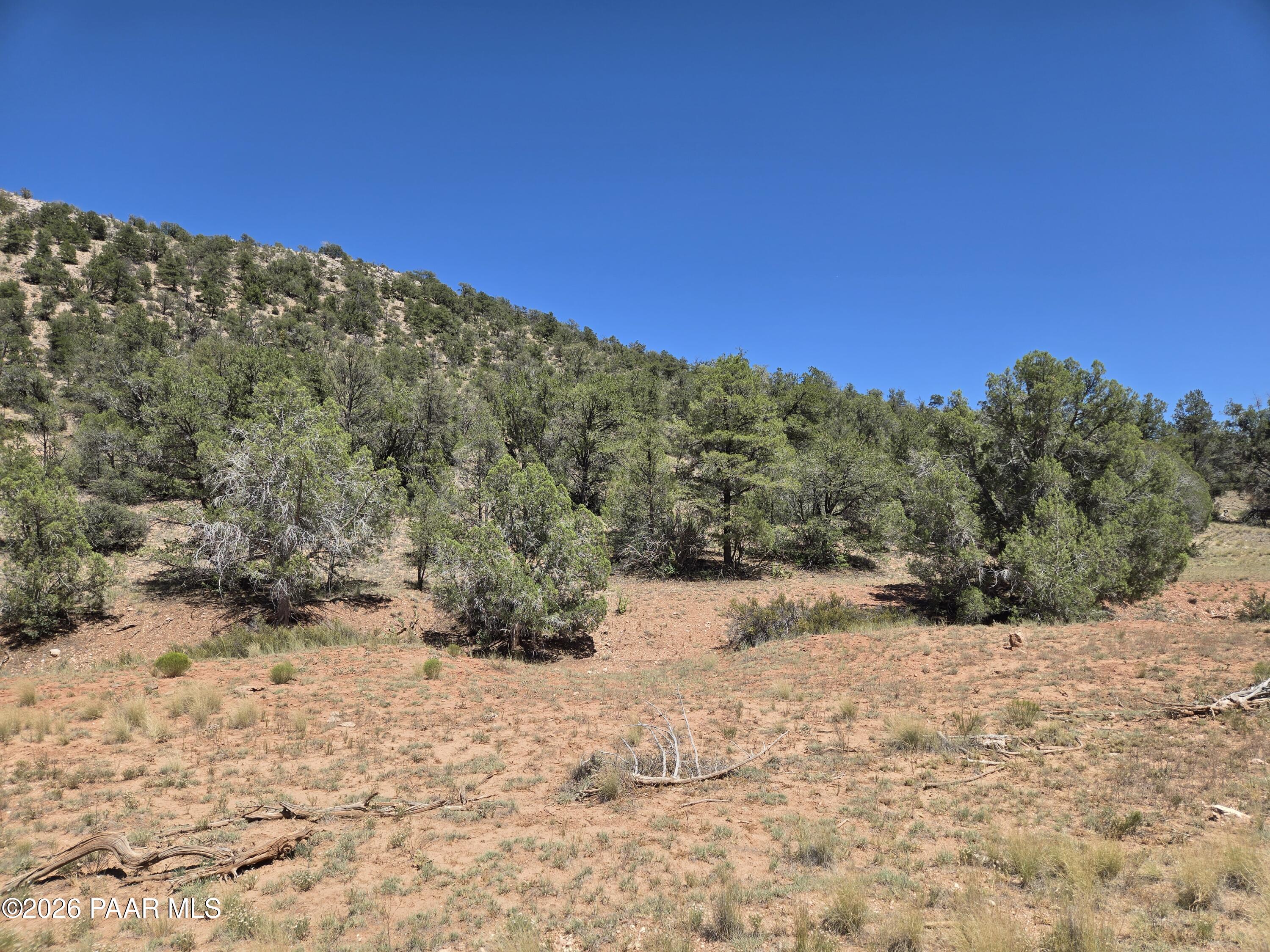 Lot 124 South Arizona Road Ash Fork, AZ 86320 - Photo 5 of 9 1000034396