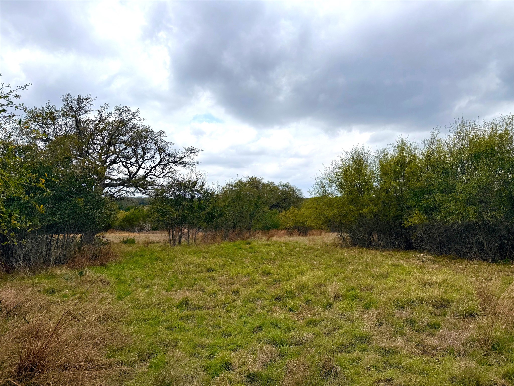 103 Ira Long Blanco, TX 78606 - Photo 1 of 12