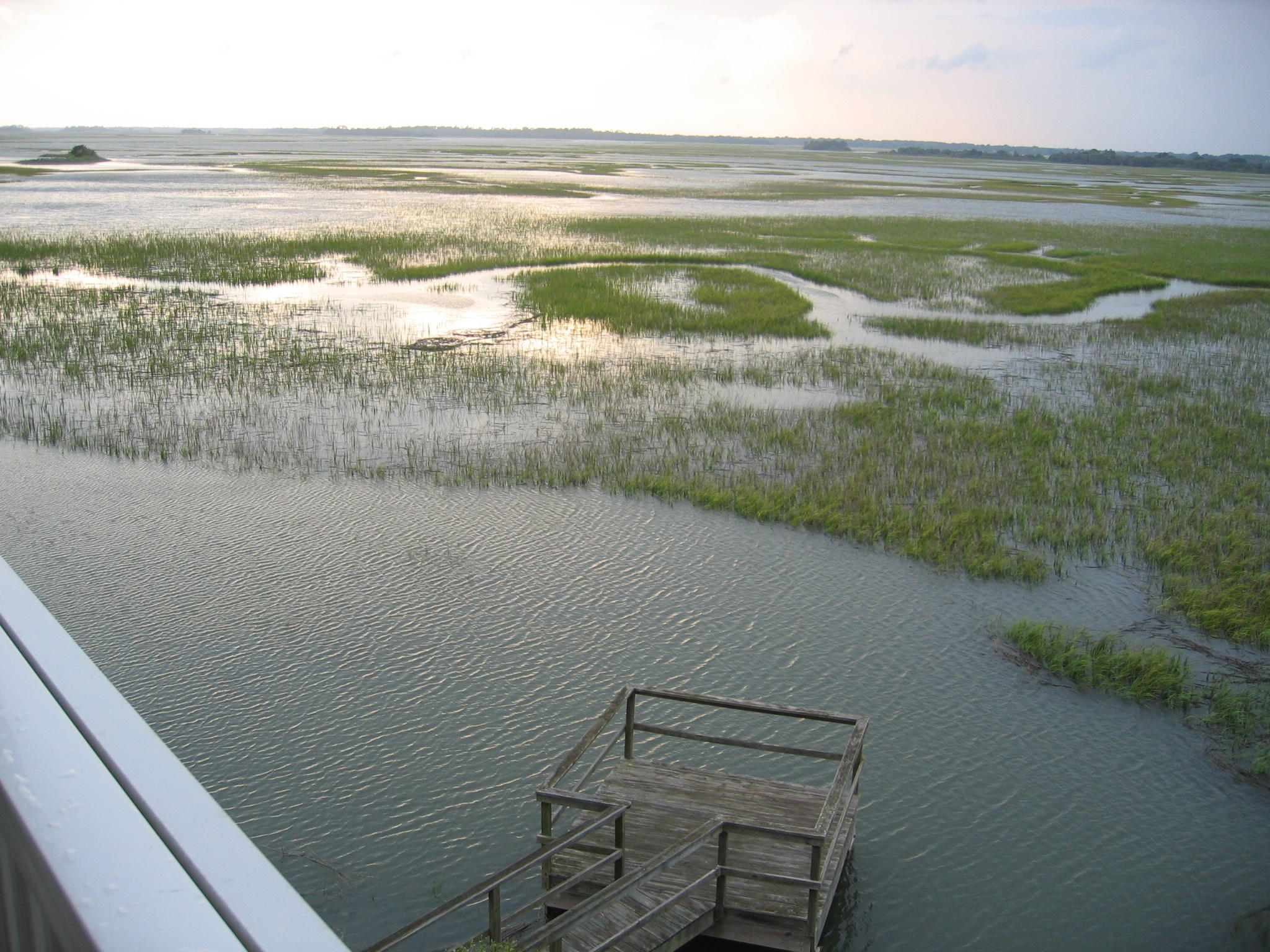 2393 Folly Road, Unit 2H Folly Beach, SC 29439 - Photo 29 of 40 Water2-MarshWinds