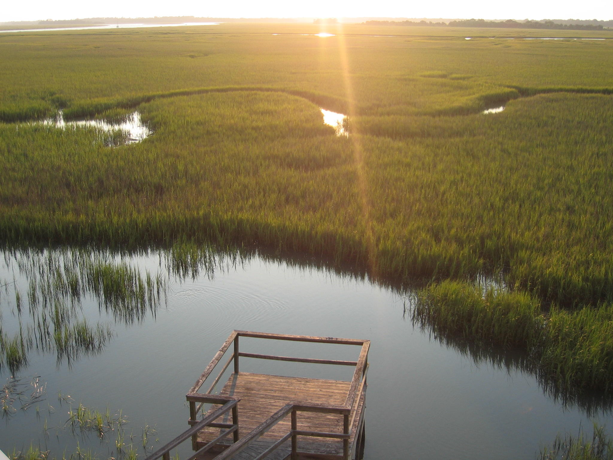 2393 Folly Road, Unit 2H Folly Beach, SC 29439 - Photo 39 of 40 Water-MarshWinds