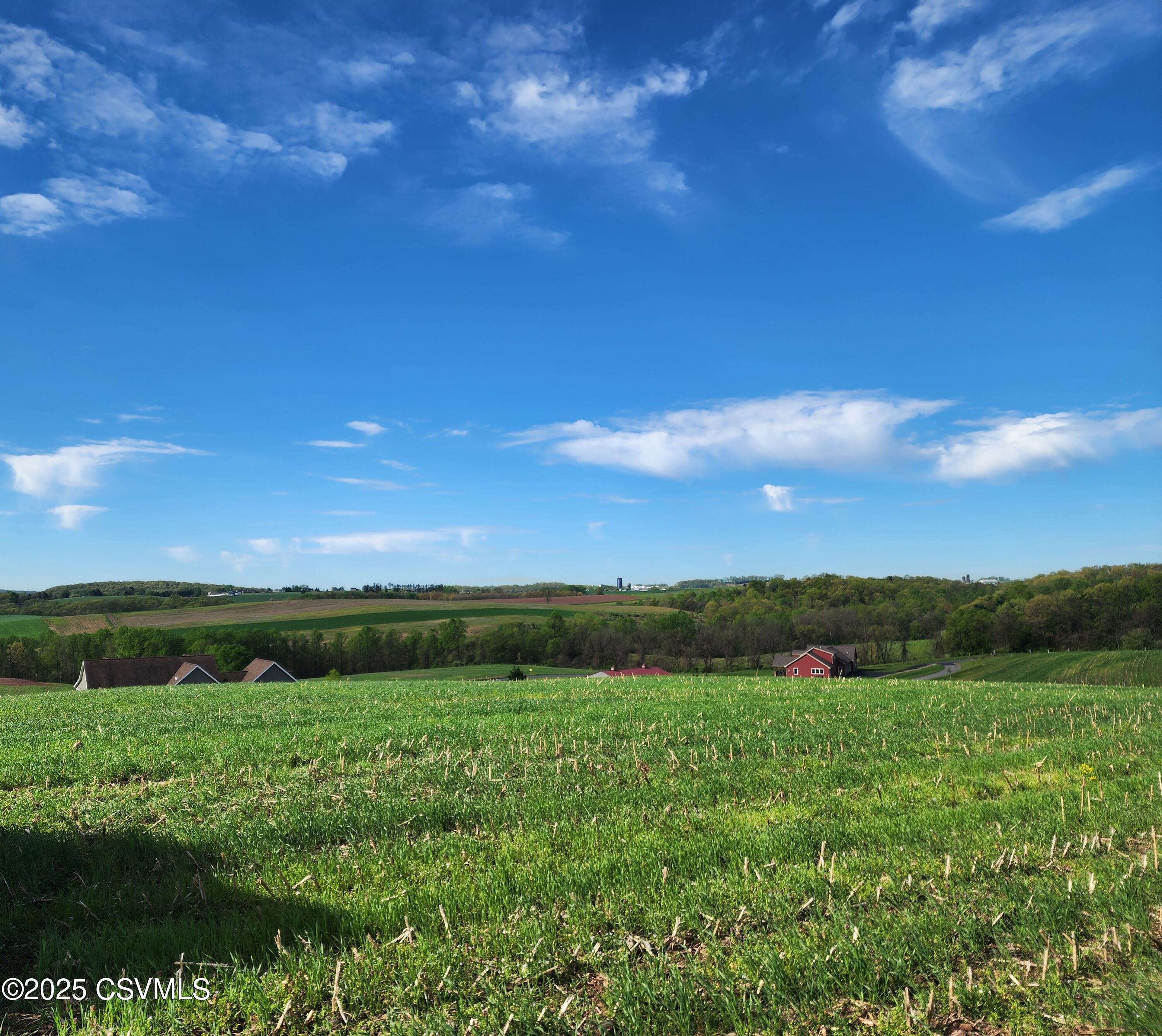 Roosters Rd Port Port Trevorton, PA 17864 - Photo 17 of 23