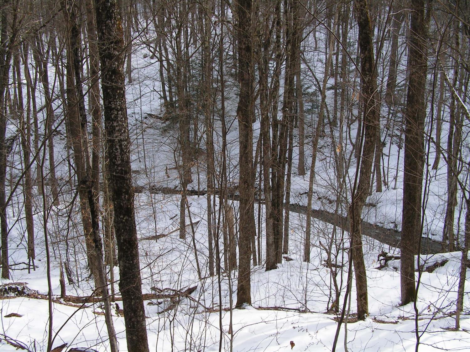 0 Norton Road Maryland, NY 12116 - Photo 1 of 1 Gallery Image 1