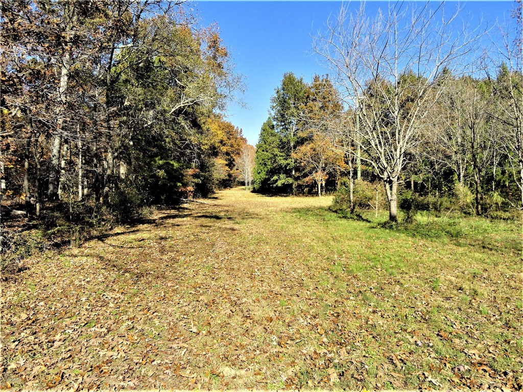 145 Chapman Grove Road Pelzer, SC 29669 - Photo 3 of 21