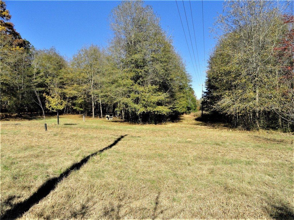 145 Chapman Grove Road Pelzer, SC 29669 - Photo 8 of 21