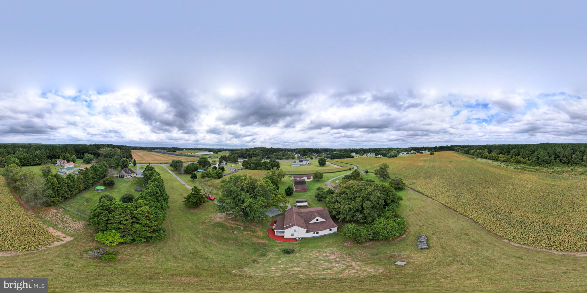 29592 Foskey Lane Delmar, MD 21875 - Photo 24 of 65 Serene countryside retreat with vast fields.