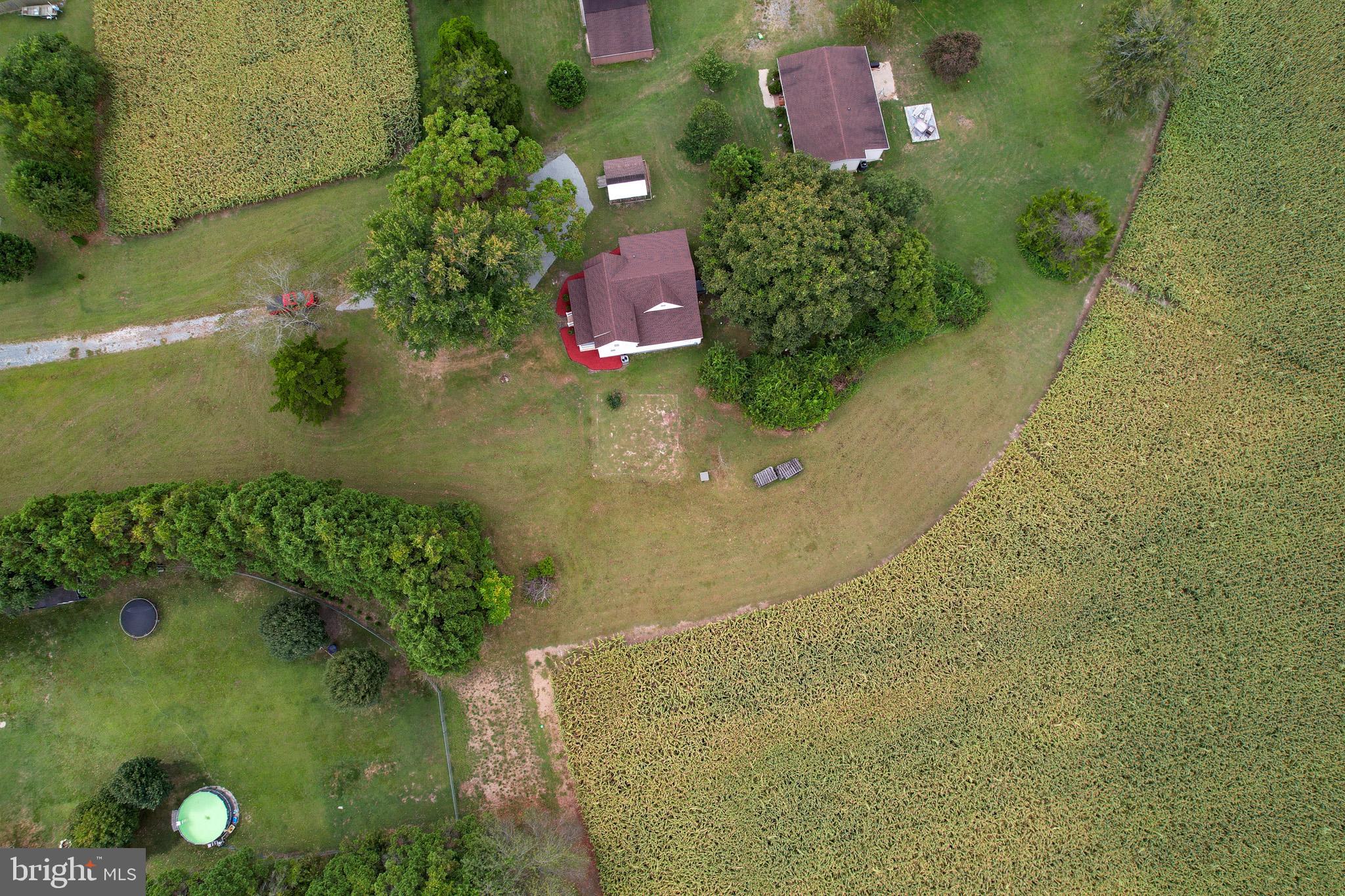 29592 Foskey Lane Delmar, MD 21875 - Photo 26 of 65 Serene countryside retreat with lush fields.