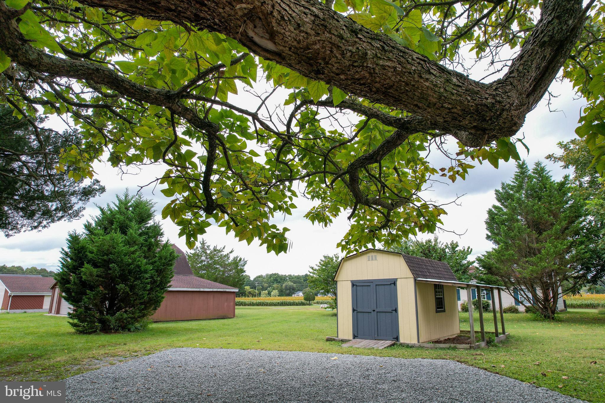 29592 Foskey Lane Delmar, MD 21875 - Photo 31 of 65 Charming shed beneath a sprawling tree.