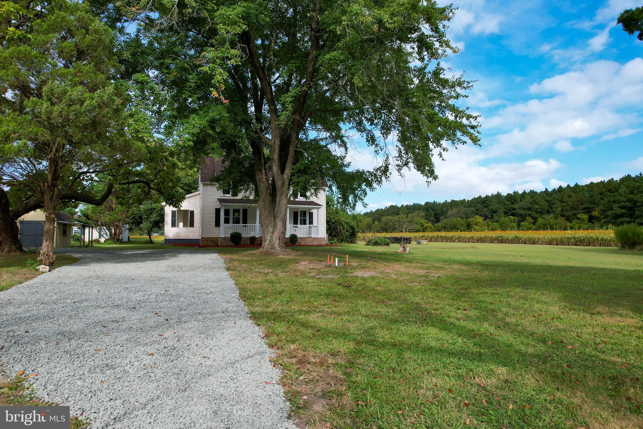 29592 Foskey Lane Delmar, MD 21875 - Photo 35 of 65 Charming home nestled in serene countryside.