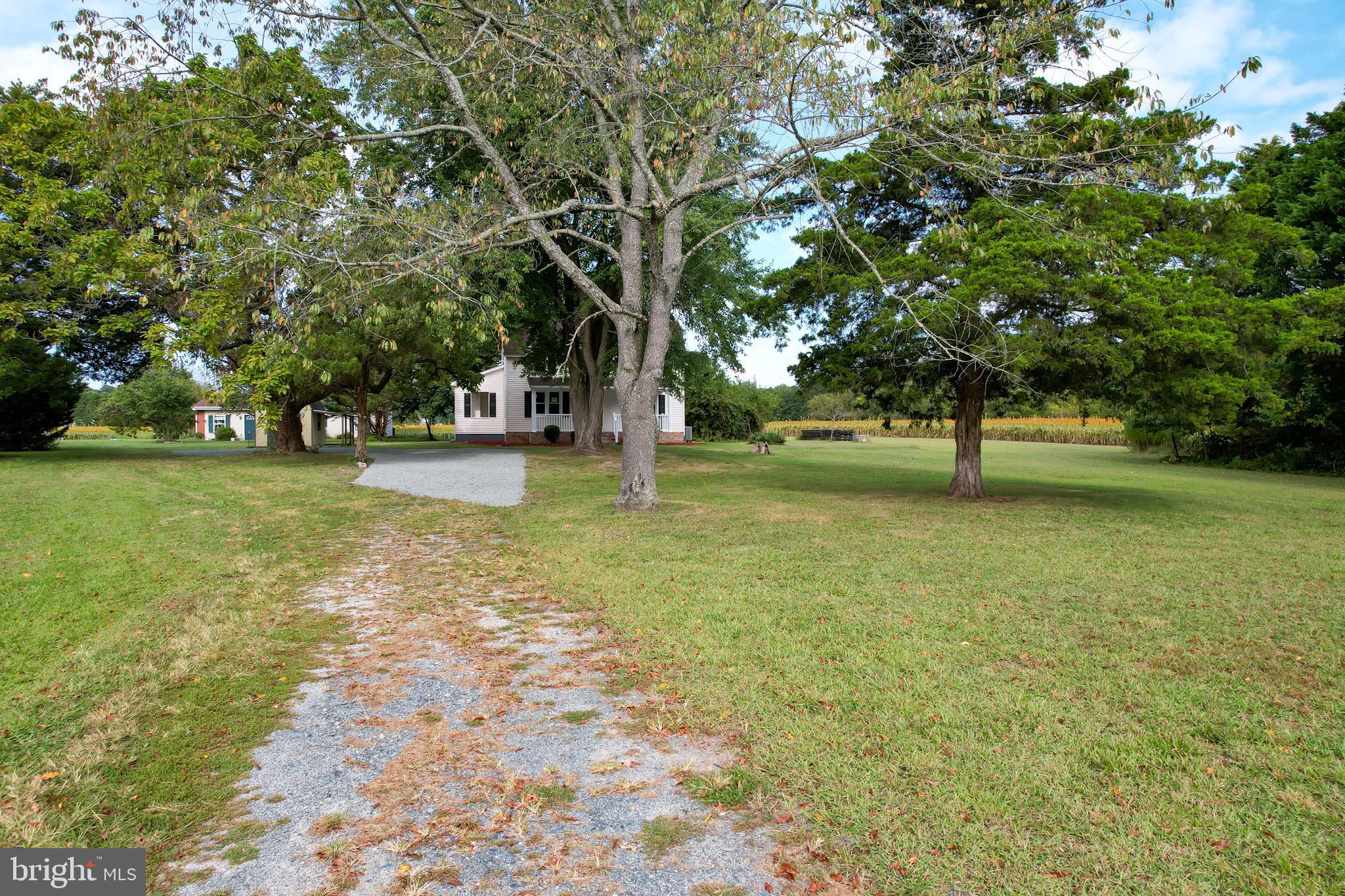 29592 Foskey Lane Delmar, MD 21875 - Photo 36 of 65 Charming pathway to a serene homestead.