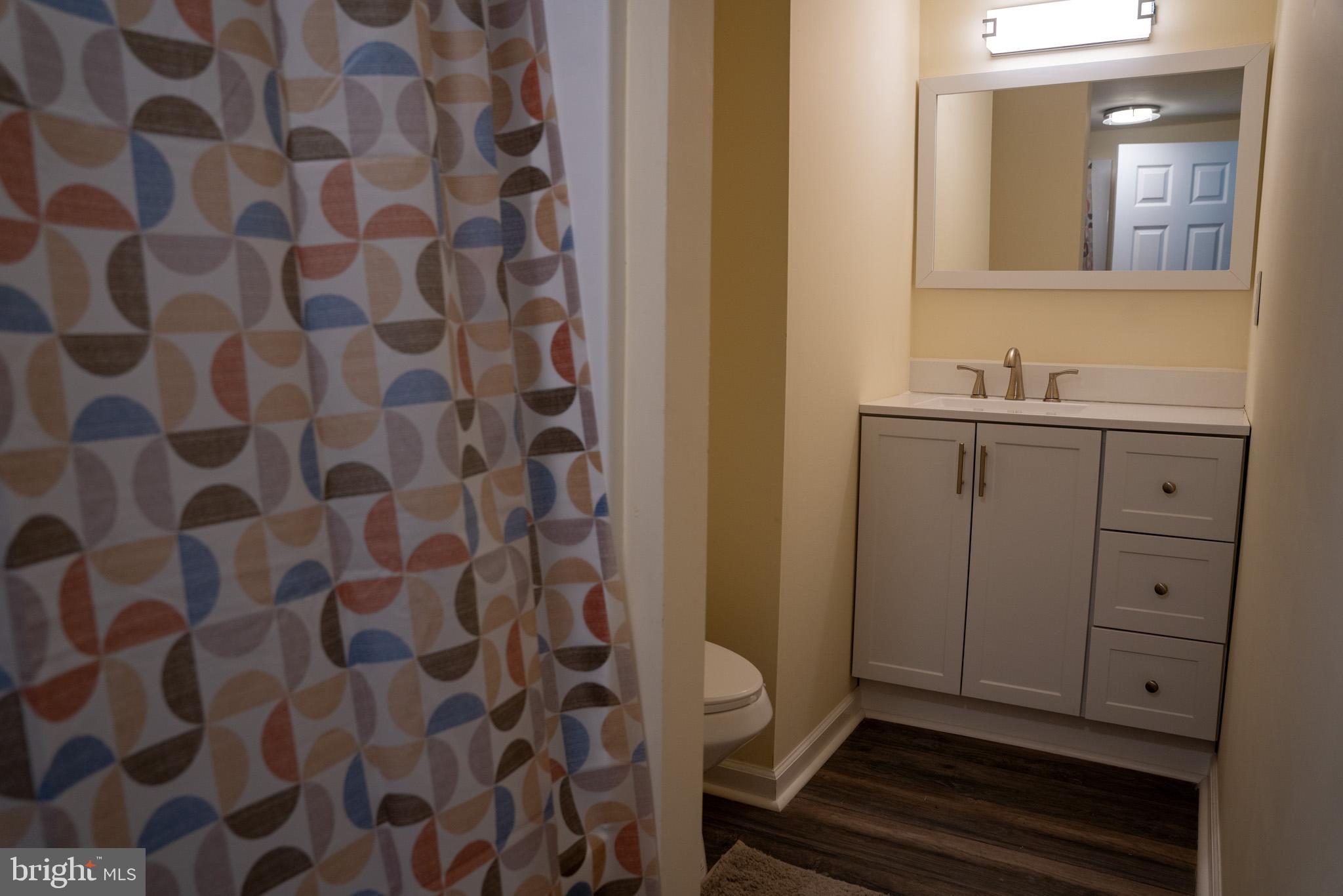 29592 Foskey Lane Delmar, MD 21875 - Photo 4 of 65 Charming bathroom with modern finishes.