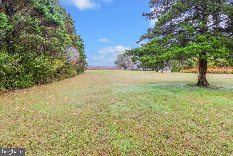 29592 Foskey Lane Delmar, MD 21875 - Photo 55 of 65 Spacious green expanse under a clear sky.