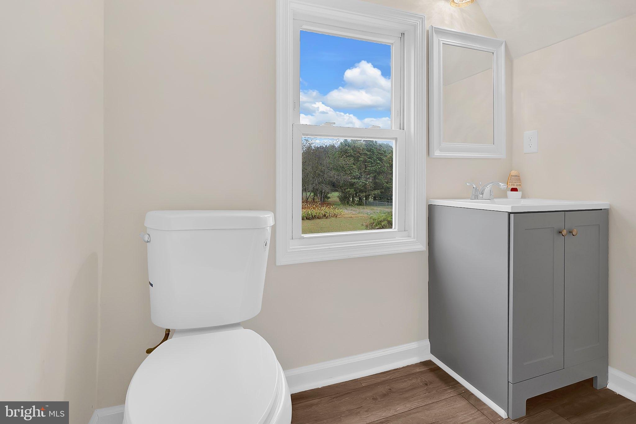 29592 Foskey Lane Delmar, MD 21875 - Photo 59 of 65 Bright and airy bathroom with scenic views.