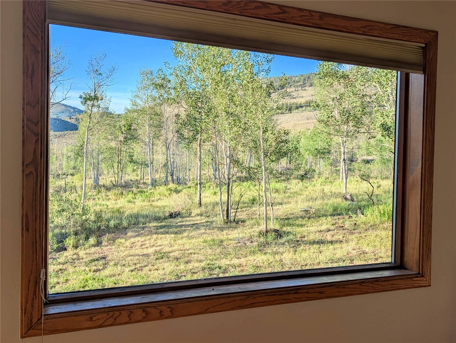 1703 Elk Run Road Silverthorne, CO 80498 - Photo 21 of 50