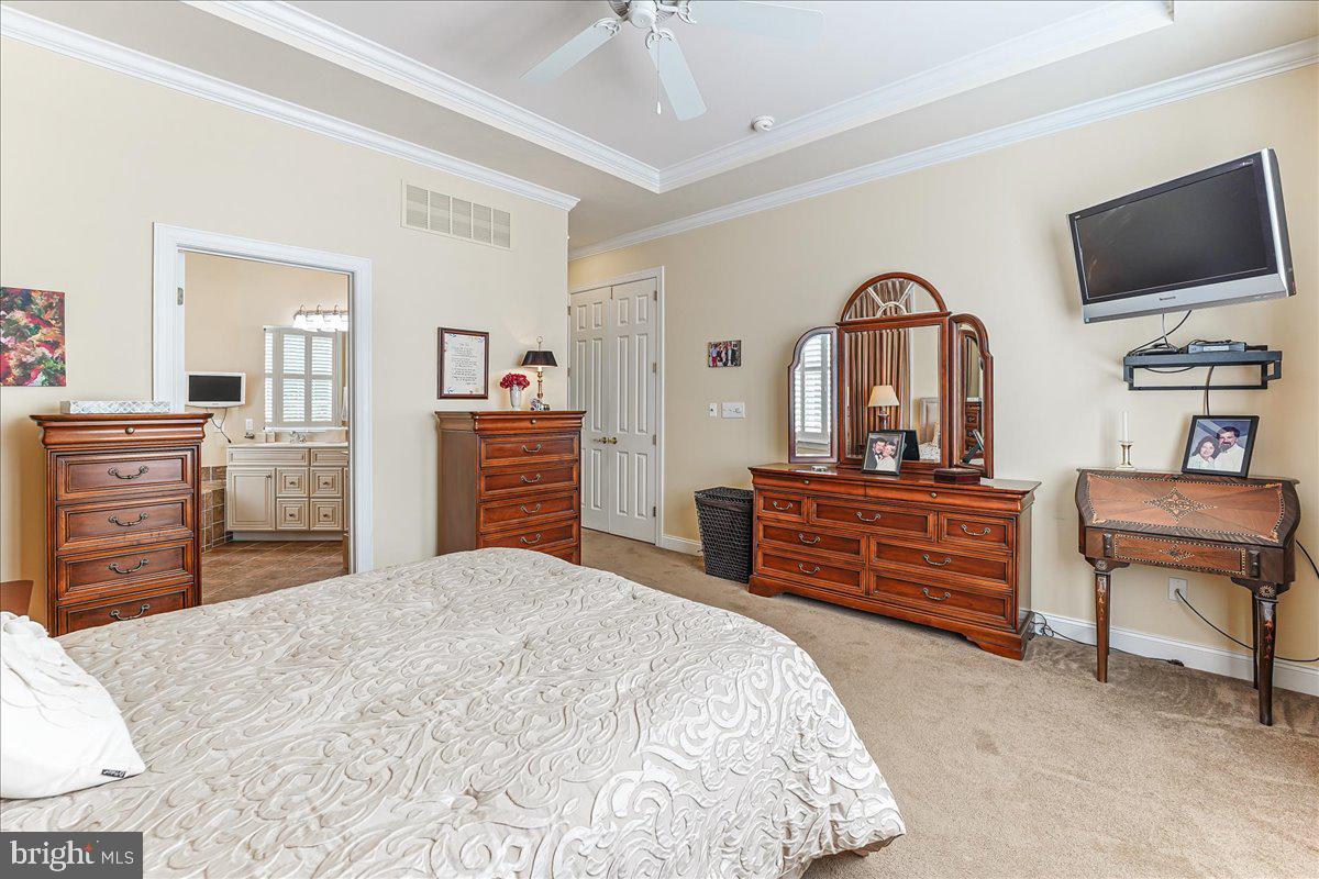 243 Hanover Road Phoenixville, PA 19460 - Photo 21 of 43 Tray Ceiling