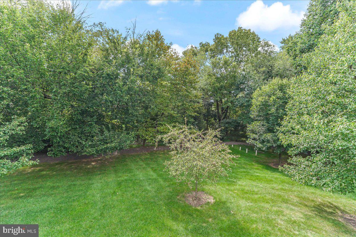 243 Hanover Road Phoenixville, PA 19460 - Photo 33 of 43 Wooded View