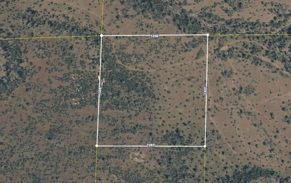 $50,000 | 40 Wildcat Road, Shingletown, CA 96007