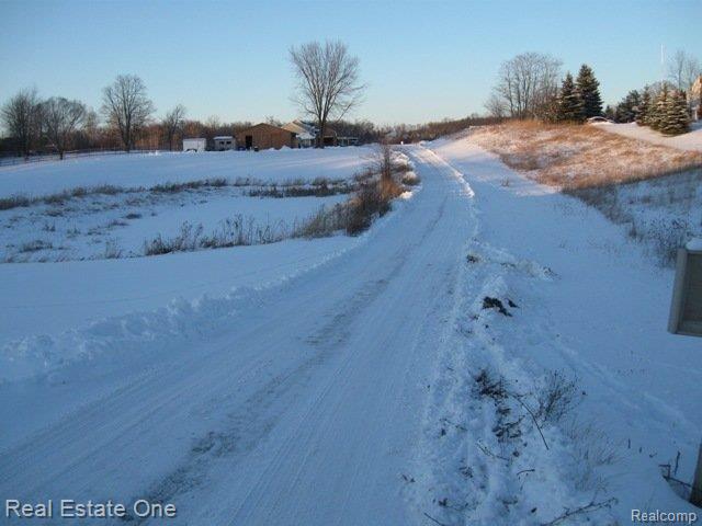 8169 Bergin Road Howell, MI 48843 - Photo 4 of 25 Private Drive to Home