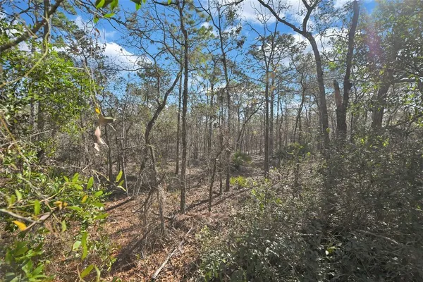 $339,000 | 17 Elder Court East, Homosassa, FL 34446