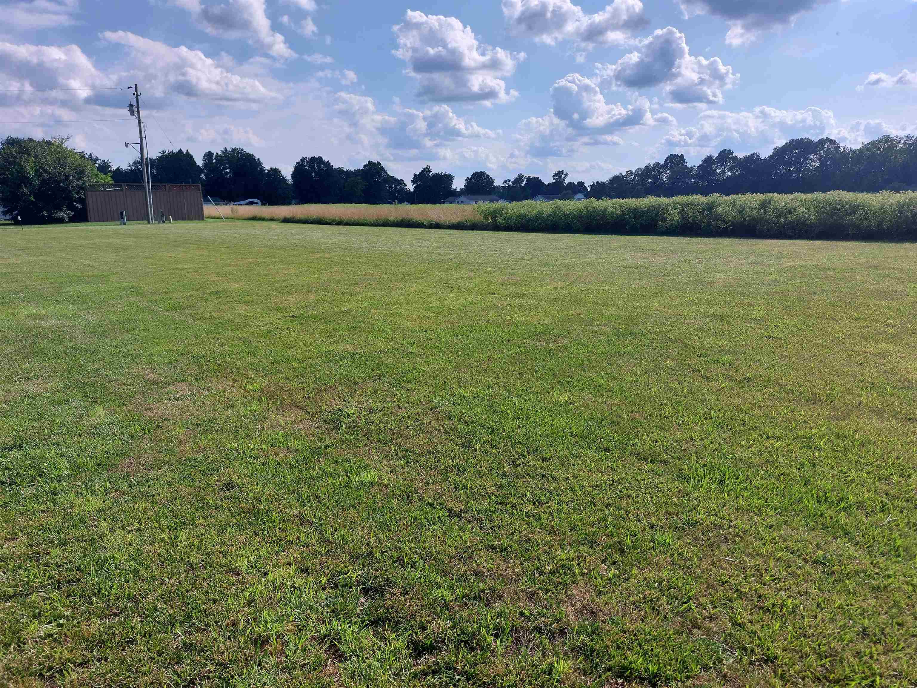 1701 Triangle Street Mount Vernon, IL 62864 - Photo 5 of 7