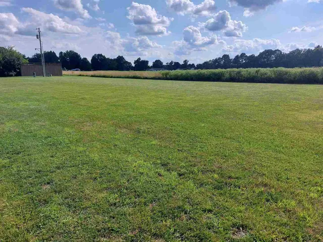 a view of a lake in middle of a field