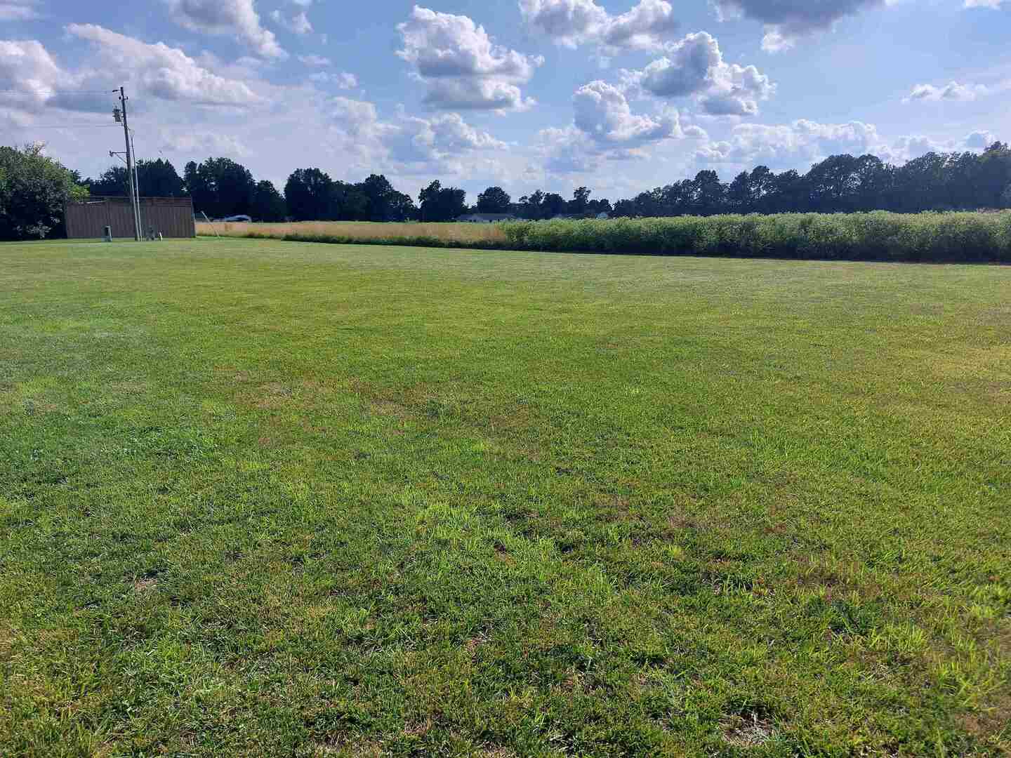 1701 Triangle Street Mount Vernon, IL 62864 - Photo 6 of 7 a view of a lake in middle of a field