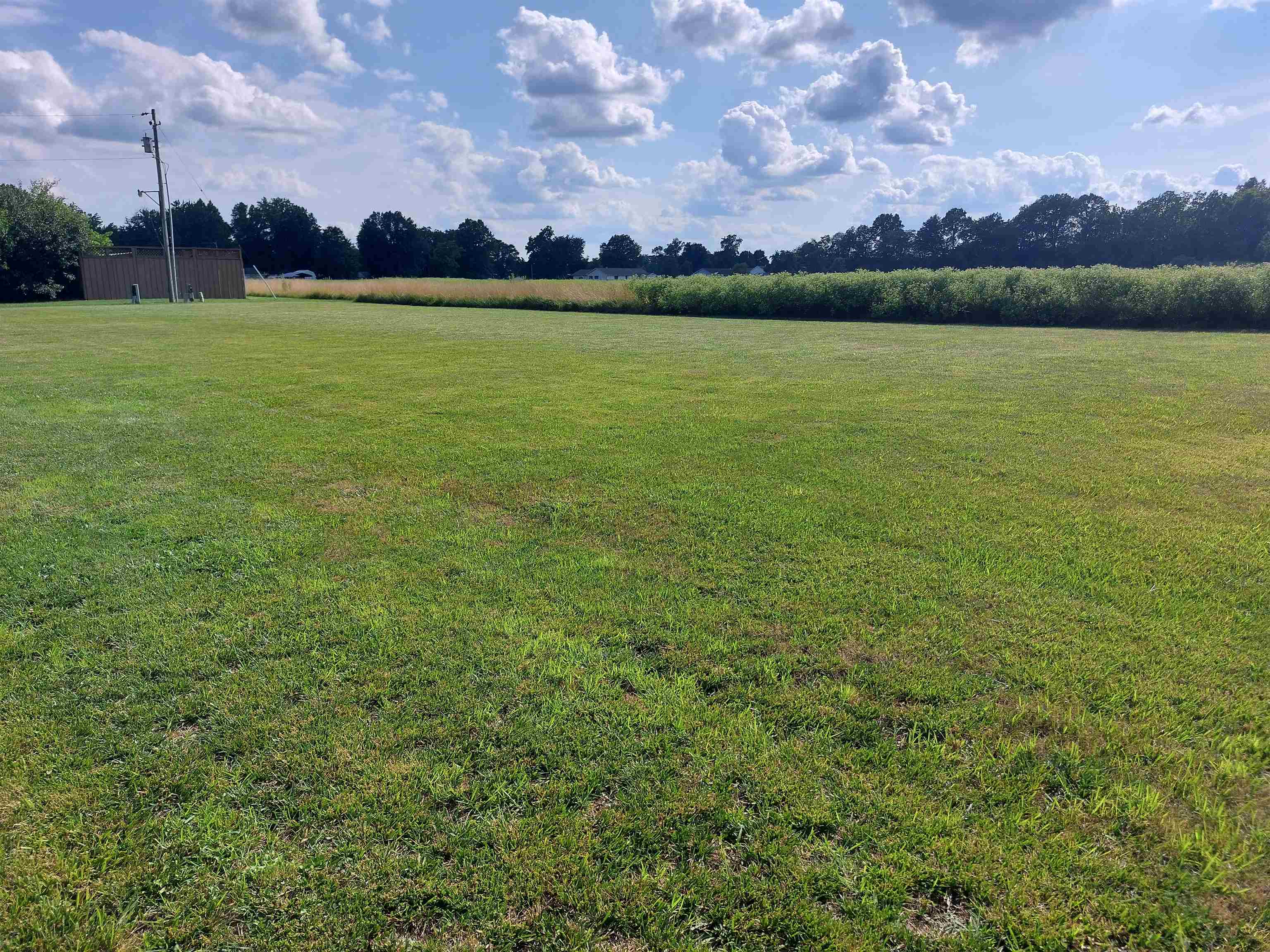 1701 Triangle Street Mount Vernon, IL 62864 - Photo 6 of 7