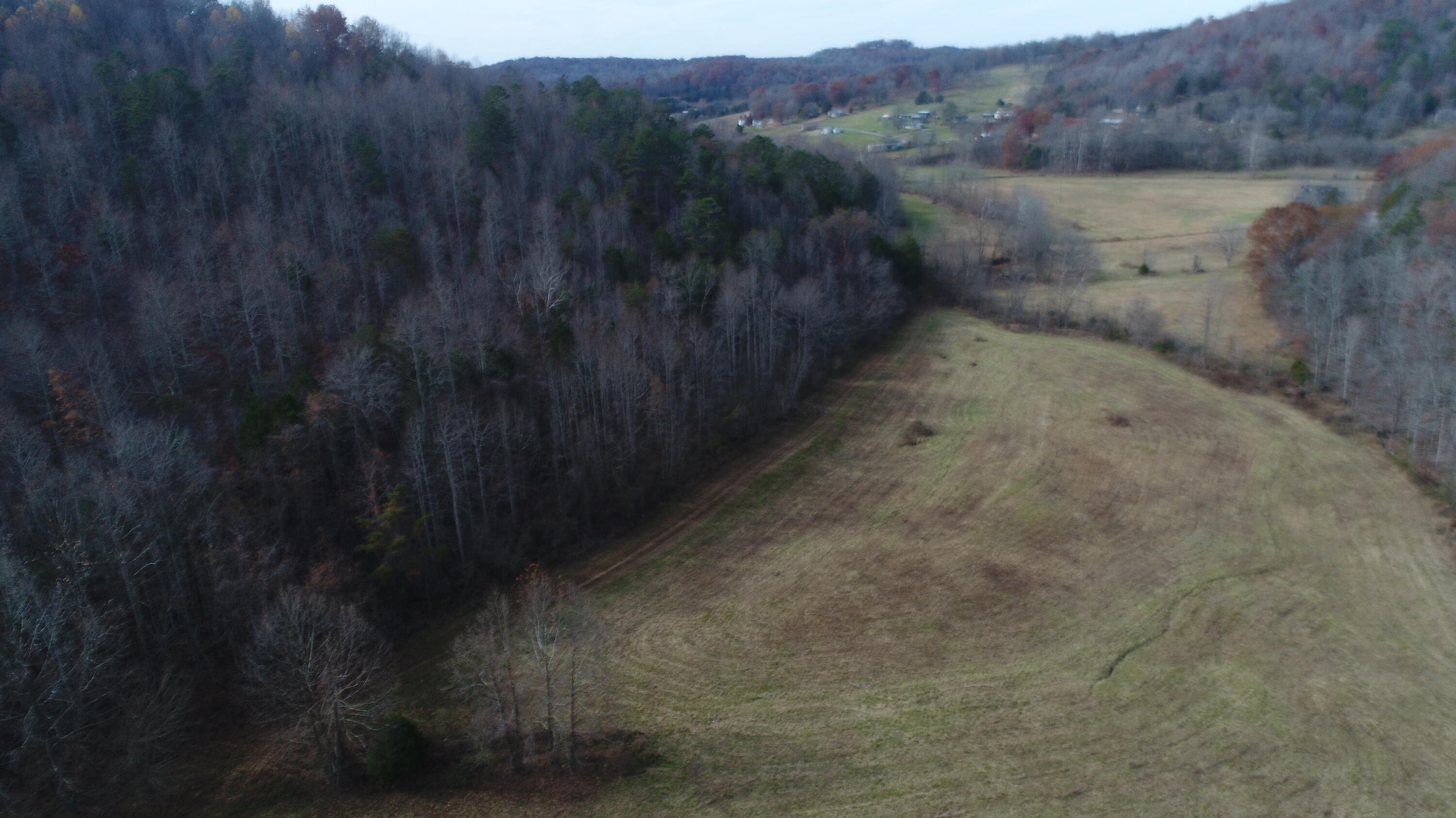 2499 Piney Grove Road Somerset, KY 42501 - Photo 31 of 34 DJI_0022