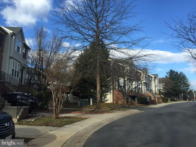a view of road with large trees