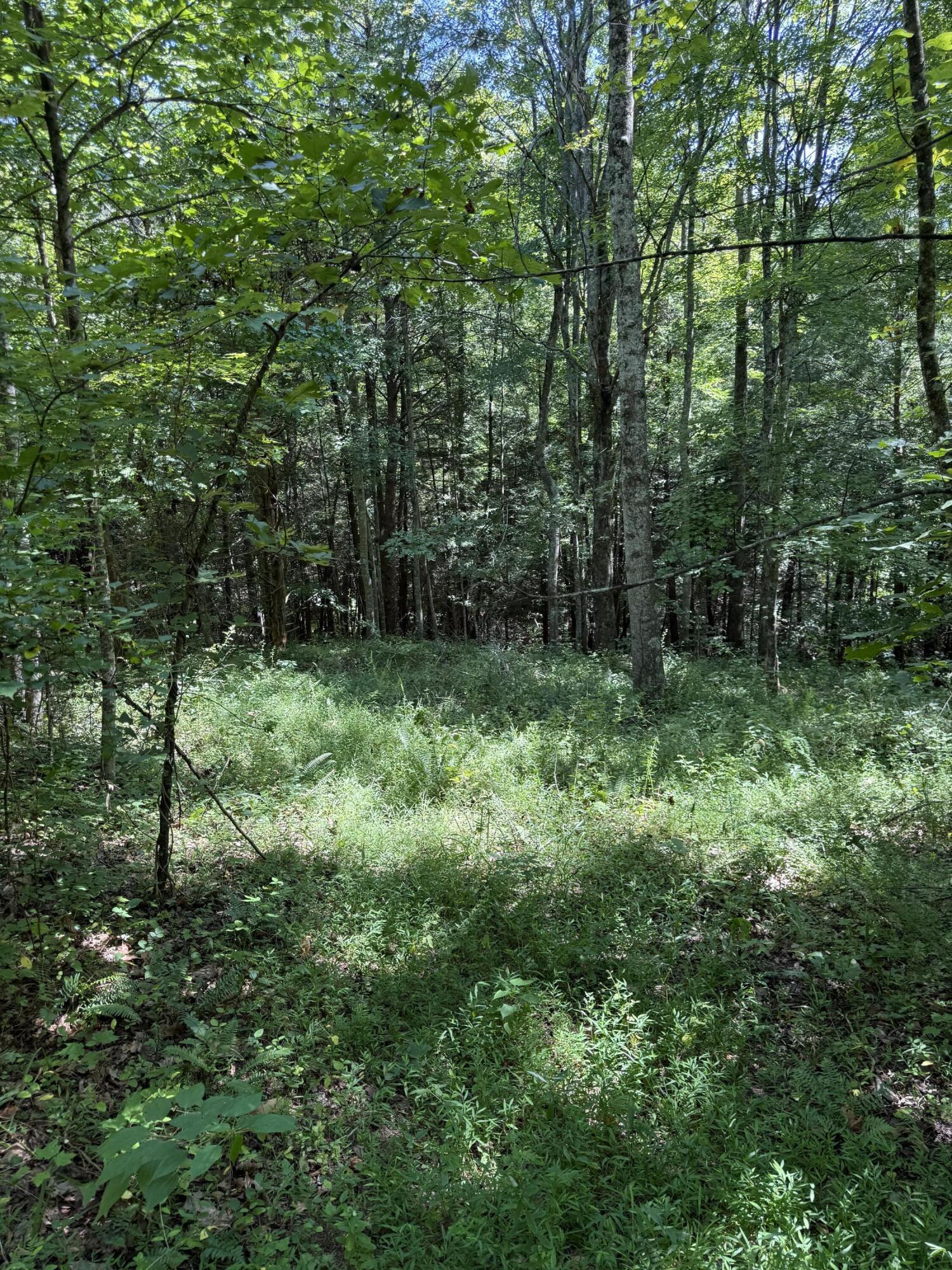 12455 Brown Ridge Road Morehead, KY 40351 - Photo 14 of 17 IMG_1970