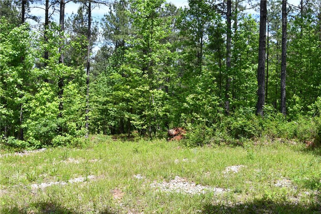 1 Wilson Road Temple, GA 30179 - Photo 54 of 88 a view of a garden