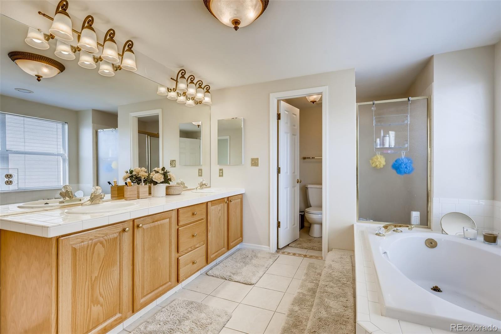 9396 Desert Willow Road Highlands Ranch, CO 80129 - Photo 15 of 40 a spacious bathroom with a tub sink and mirror