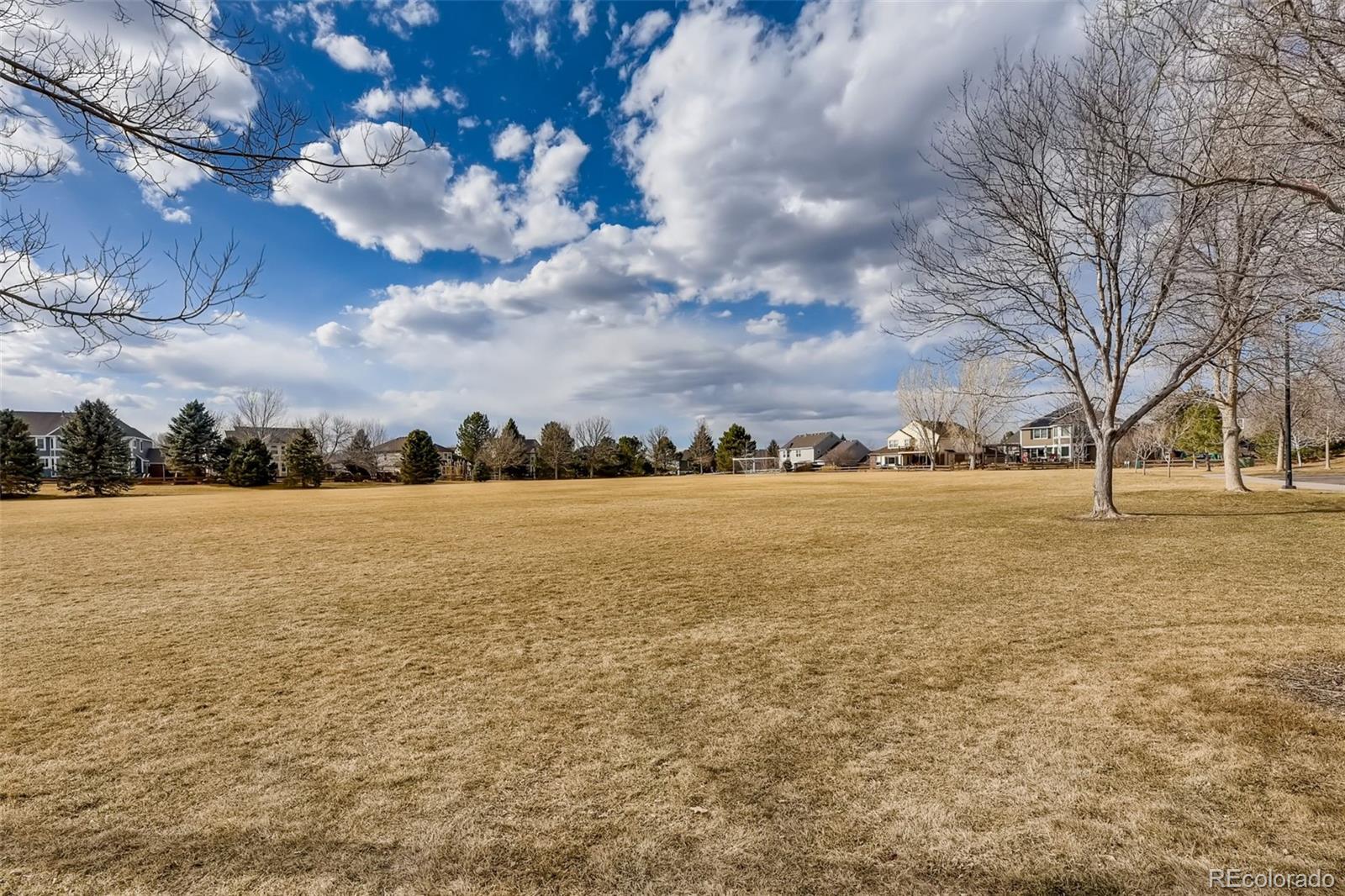 9396 Desert Willow Road Highlands Ranch, CO 80129 - Photo 37 of 40 a view of lake view