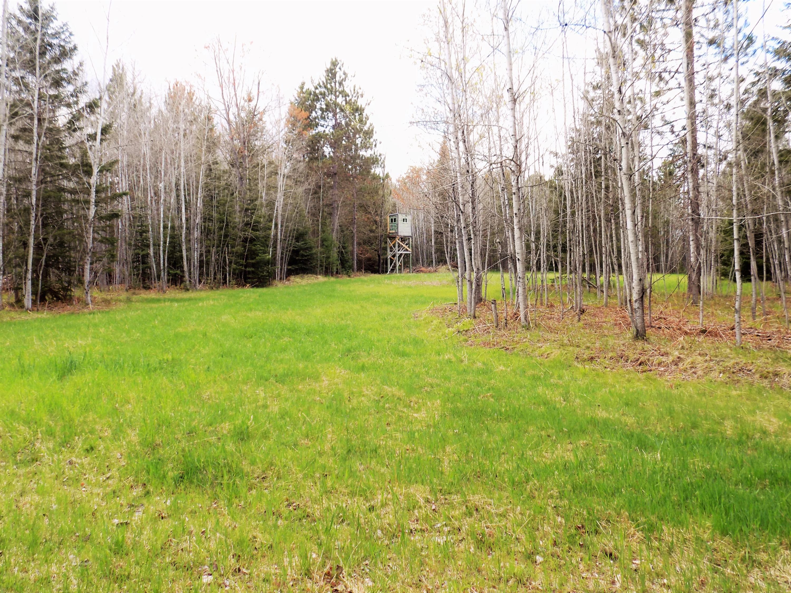 18401 Carter Road Atlanta, MI 49709 - Photo 24 of 33 Gallery Image 24