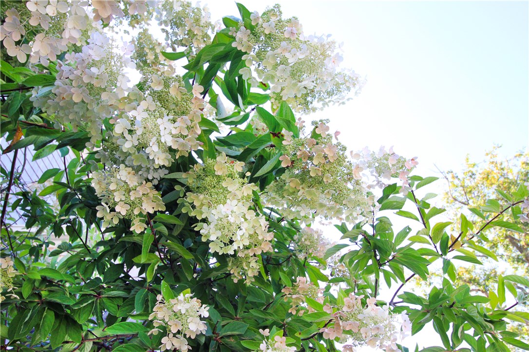 22 Bateman Avenue Newport, RI 02840 - Photo 5 of 43