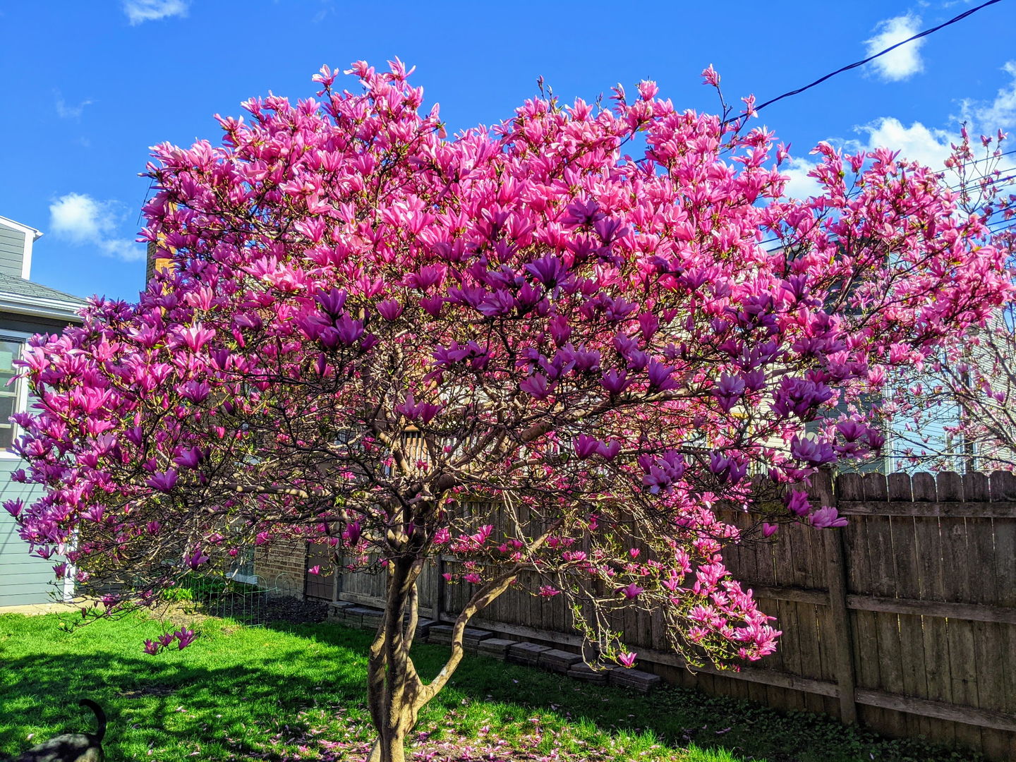 3834 North Drake Avenue Chicago, IL 60618 - Photo 32 of 45