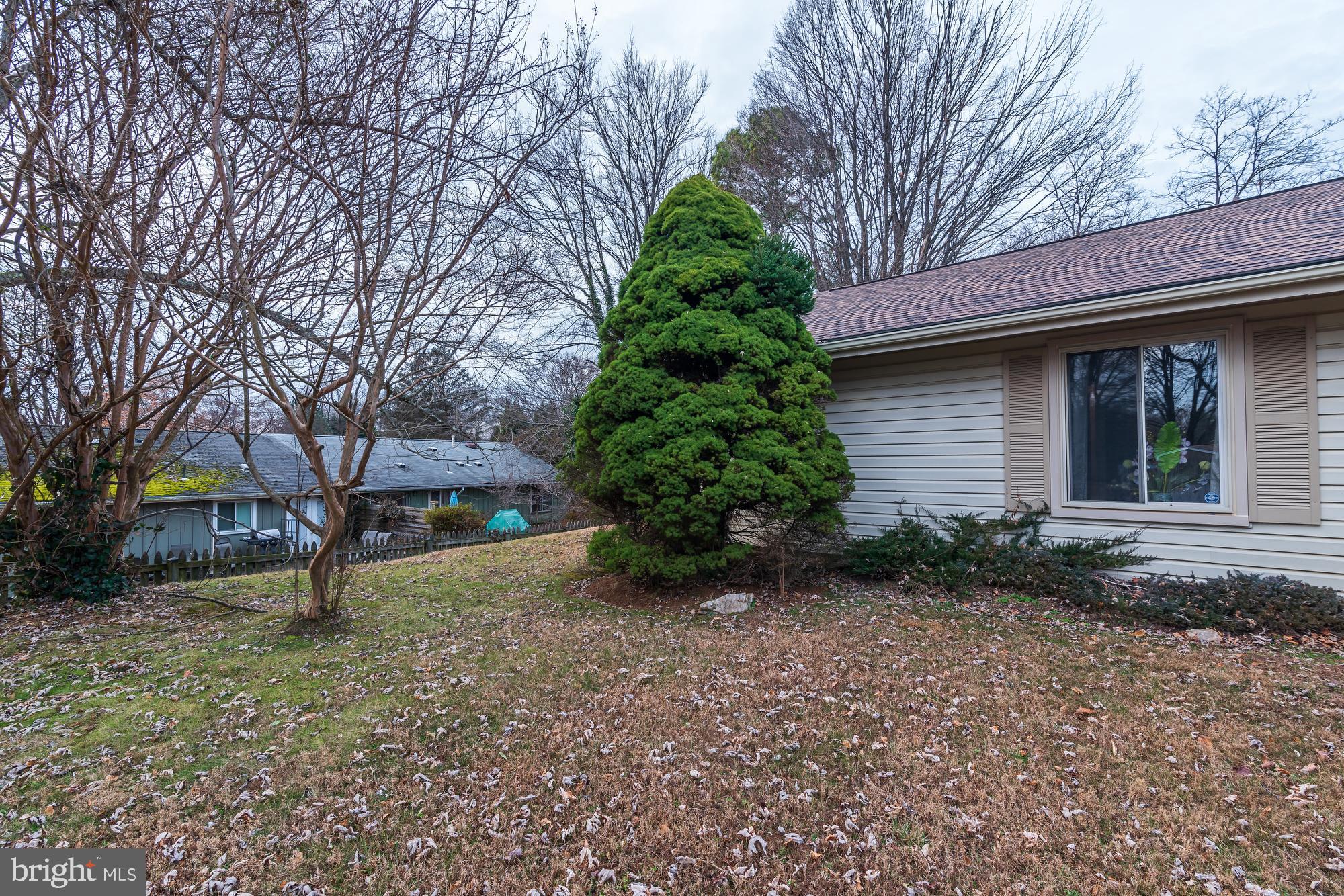 14920 Hydrus Road Silver Spring, MD 20906 - Photo 45 of 47 Gallery Image 45