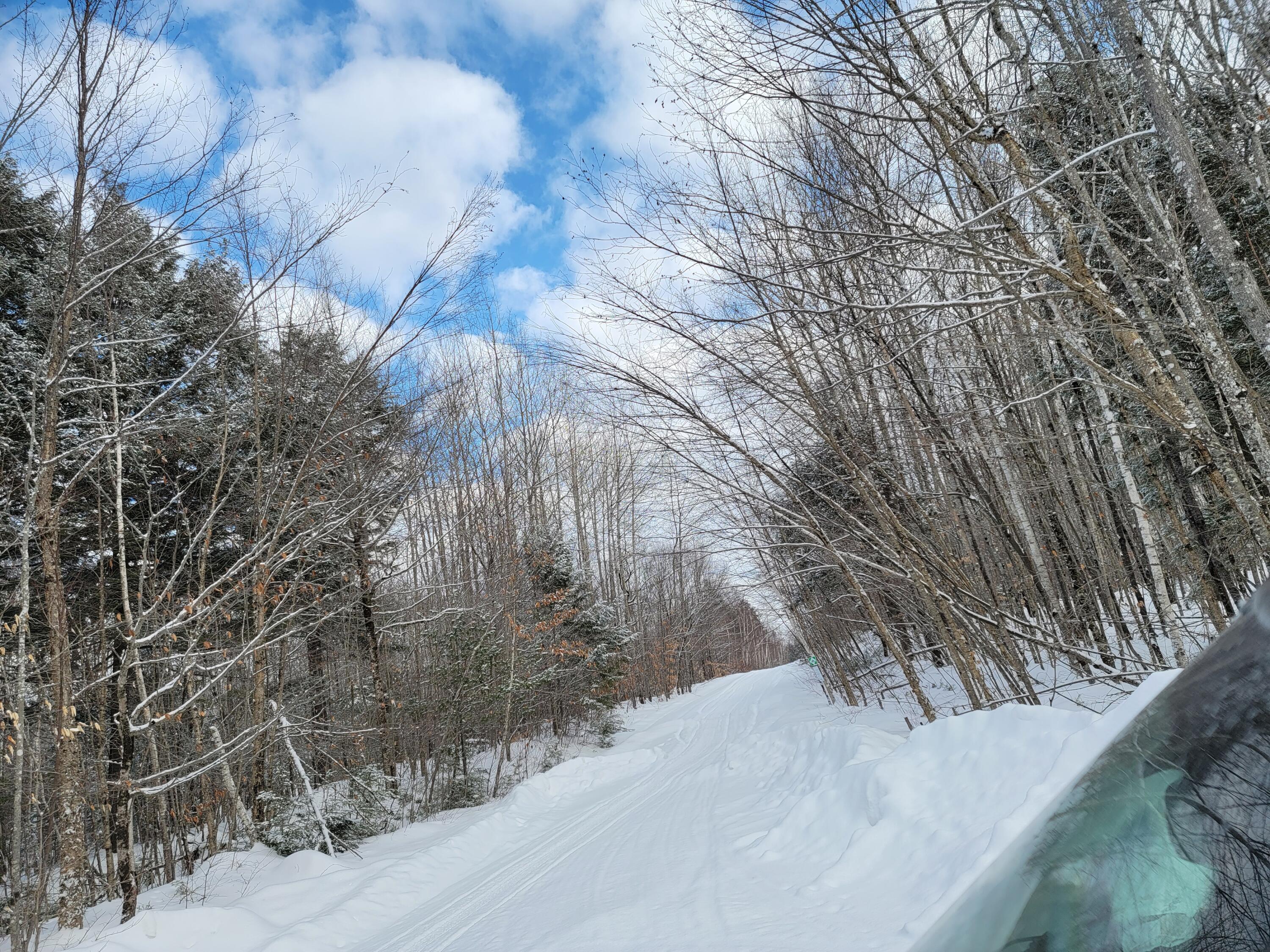 0 Railroadbed Rd Lake View Milo, ME 04463 - Photo 16 of 68 20220125_142352