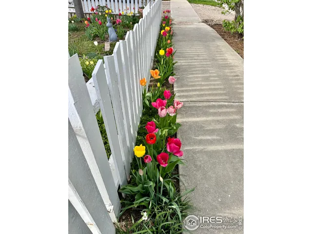 a close up of a flower pot