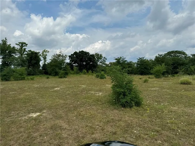 a view of a garden with a building in background