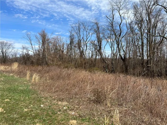 a view of a garden with sitting area
