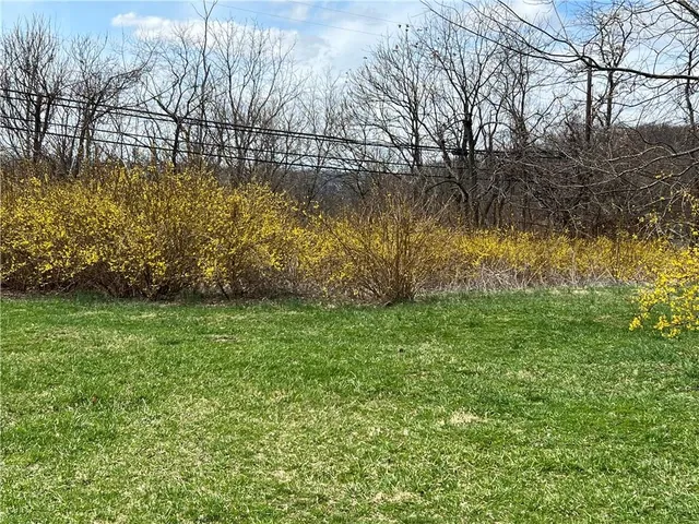 a view of backyard with green space